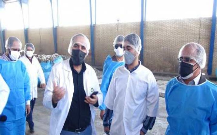 مدیر پسماند شهرداری قم : دفن مستقیم زباله در قم به صفر میرسد مدیر پسماند شهرداری قم : دفن مستقیم زباله در قم به صفر میرسد